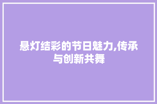 悬灯结彩的节日魅力,传承与创新共舞