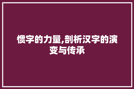 惯字的力量,剖析汉字的演变与传承