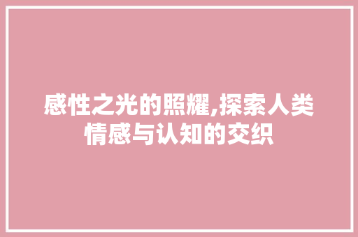 感性之光的照耀,探索人类情感与认知的交织
