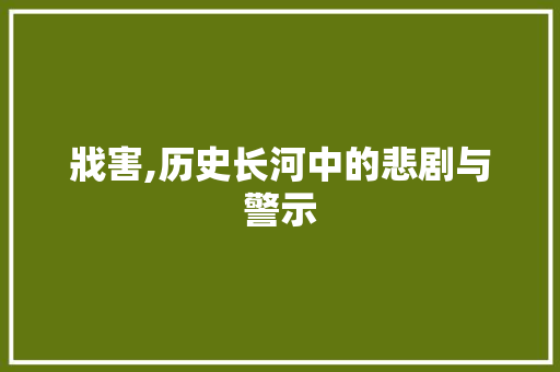 戕害,历史长河中的悲剧与警示