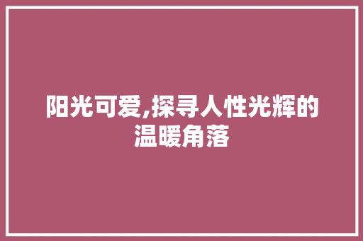 阳光可爱,探寻人性光辉的温暖角落