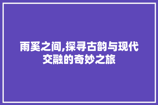 雨奚之间,探寻古韵与现代交融的奇妙之旅