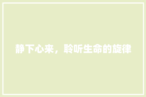 静下心来，聆听生命的旋律 工作计划