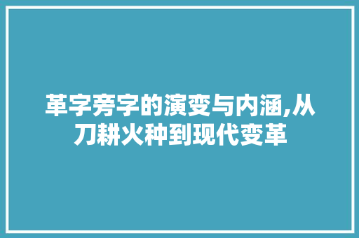 革字旁字的演变与内涵,从刀耕火种到现代变革