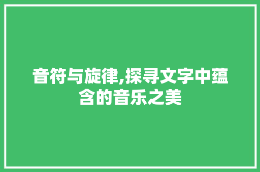 音符与旋律,探寻文字中蕴含的音乐之美
