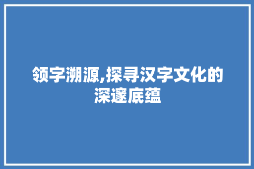 领字溯源,探寻汉字文化的深邃底蕴