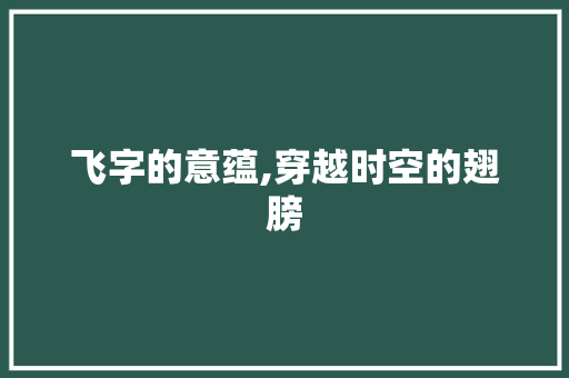 飞字的意蕴,穿越时空的翅膀