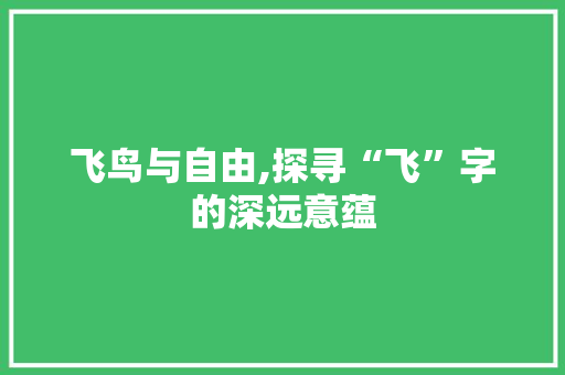 飞鸟与自由,探寻“飞”字的深远意蕴