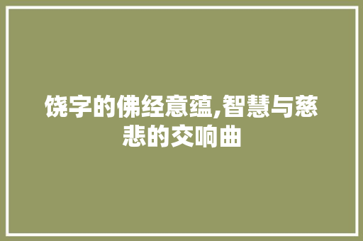 饶字的佛经意蕴,智慧与慈悲的交响曲