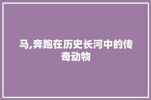 马,奔跑在历史长河中的传奇动物 工作计划