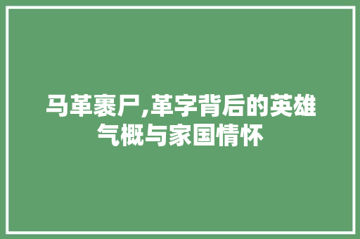 马革裹尸,革字背后的英雄气概与家国情怀