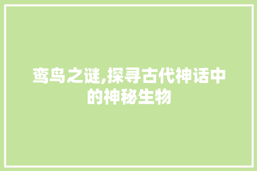 鸾鸟之谜,探寻古代神话中的神秘生物