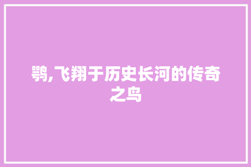 鹗,飞翔于历史长河的传奇之鸟