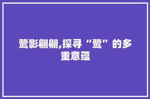 鹭影翩翩,探寻“鹭”的多重意蕴