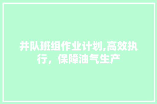 井队班组作业计划,高效执行，保障油气生产