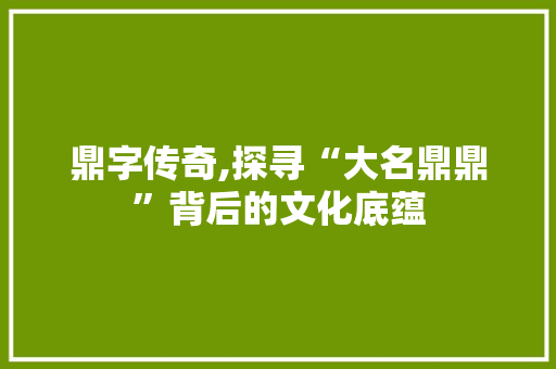 鼎字传奇,探寻“大名鼎鼎”背后的文化底蕴