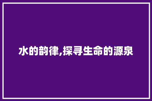 水的韵律,探寻生命的源泉