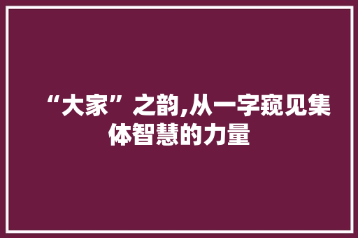 “大家”之韵,从一字窥见集体智慧的力量