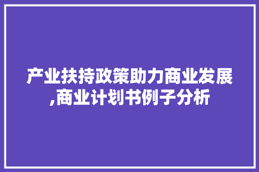 产业扶持政策助力商业发展,商业计划书例子分析