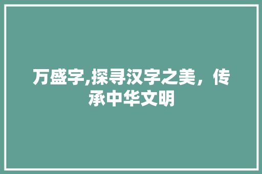 万盛字,探寻汉字之美，传承中华文明