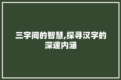 三字间的智慧,探寻汉字的深邃内涵