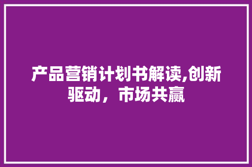 产品营销计划书解读,创新驱动，市场共赢