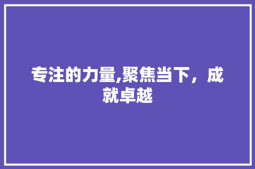 专注的力量,聚焦当下，成就卓越