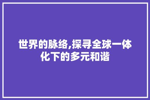 世界的脉络,探寻全球一体化下的多元和谐