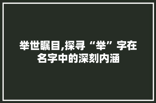 举世瞩目,探寻“举”字在名字中的深刻内涵