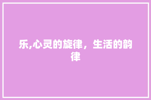 乐,心灵的旋律，生活的韵律