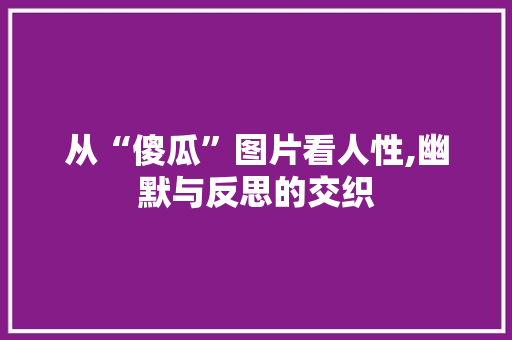 从“傻瓜”图片看人性,幽默与反思的交织