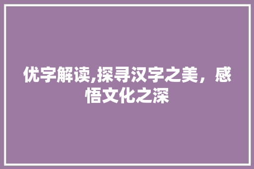 优字解读,探寻汉字之美，感悟文化之深
