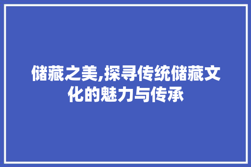 储藏之美,探寻传统储藏文化的魅力与传承