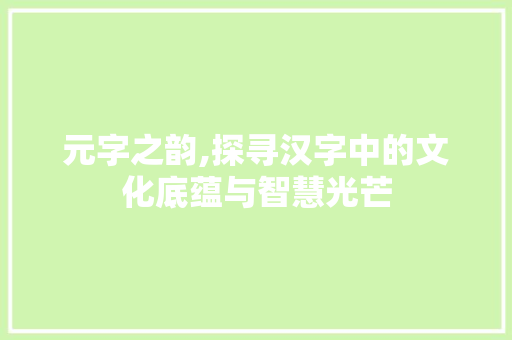 元字之韵,探寻汉字中的文化底蕴与智慧光芒