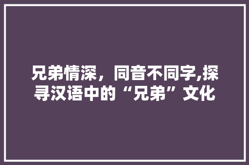 兄弟情深，同音不同字,探寻汉语中的“兄弟”文化