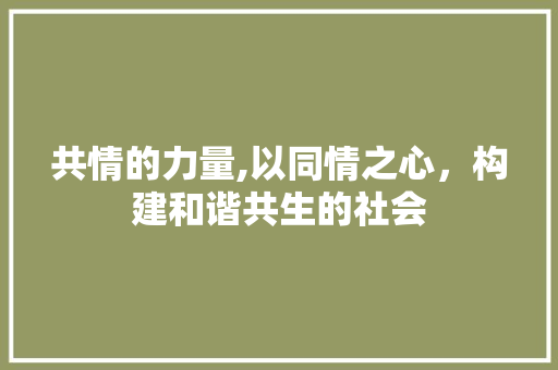 共情的力量,以同情之心，构建和谐共生的社会