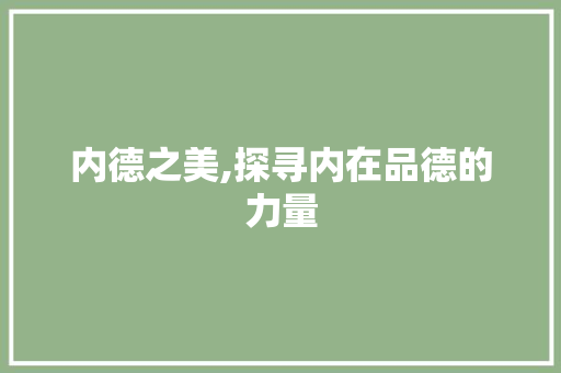 内德之美,探寻内在品德的力量