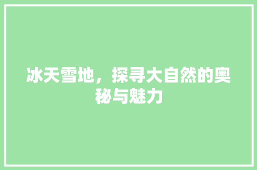 冰天雪地，探寻大自然的奥秘与魅力