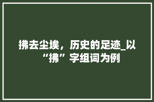 拂去尘埃，历史的足迹_以“拂”字组词为例