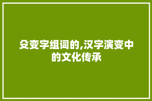 殳变字组词的,汉字演变中的文化传承