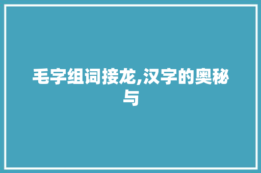 毛字组词接龙,汉字的奥秘与