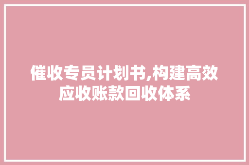 催收专员计划书,构建高效应收账款回收体系