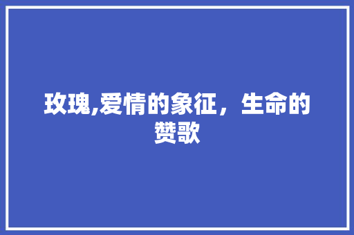 玫瑰,爱情的象征，生命的赞歌