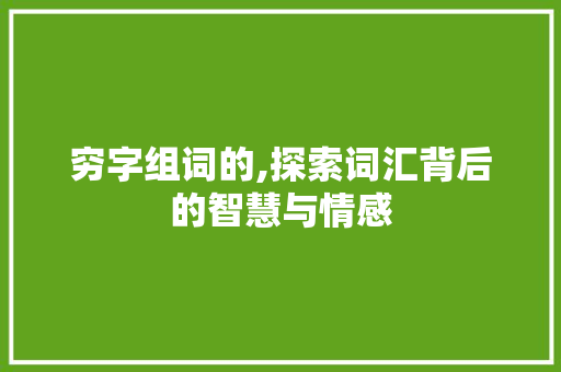 穷字组词的,探索词汇背后的智慧与情感