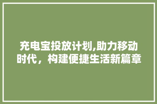 充电宝投放计划,助力移动时代，构建便捷生活新篇章