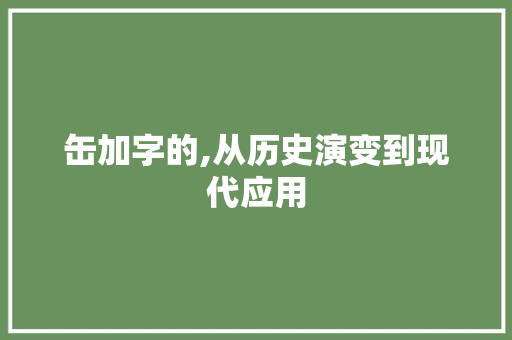 缶加字的,从历史演变到现代应用