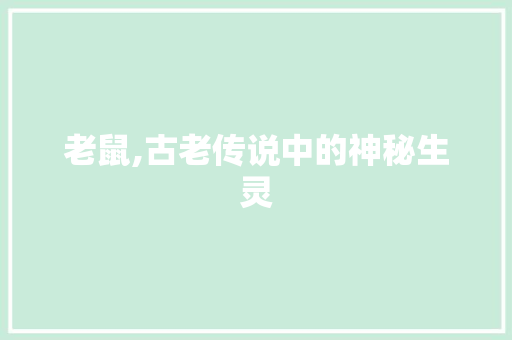 老鼠,古老传说中的神秘生灵