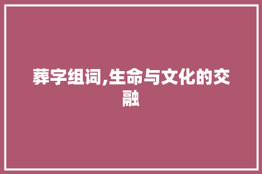 葬字组词,生命与文化的交融 工作计划
