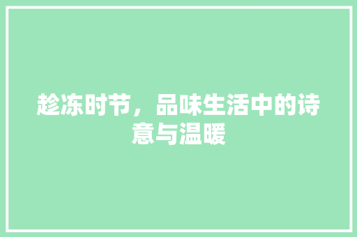 趁冻时节，品味生活中的诗意与温暖