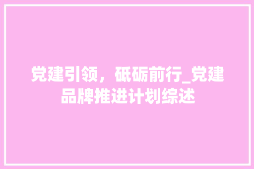 党建引领，砥砺前行_党建品牌推进计划综述
